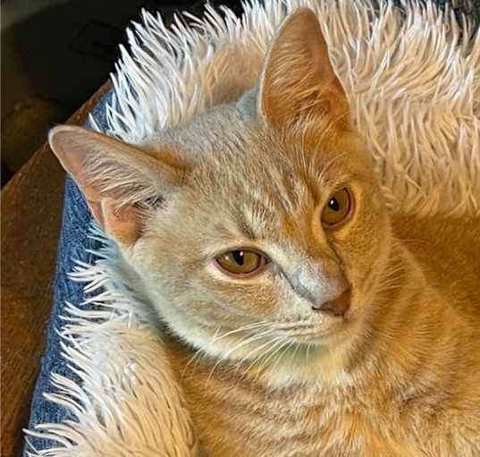Photo of Zappa aka Zappy
