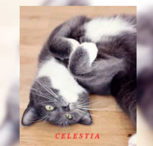 Photo of Celestia