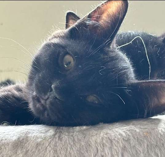 Photo of LeFou