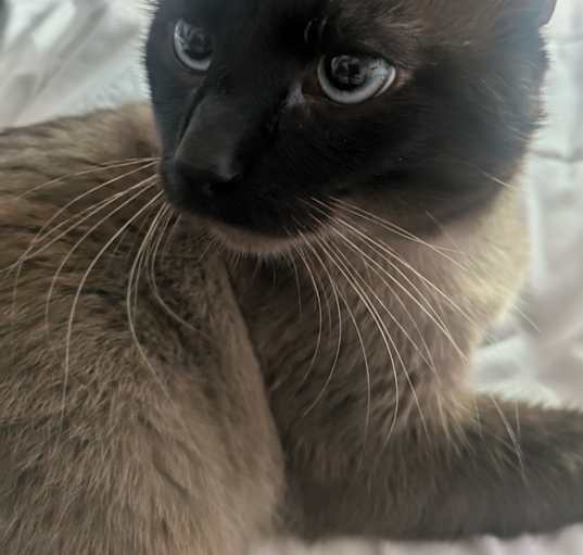 Photo of October "Tober"