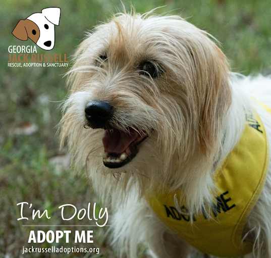 Photo of Dolly