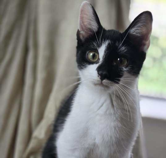 Photo of Tubby
