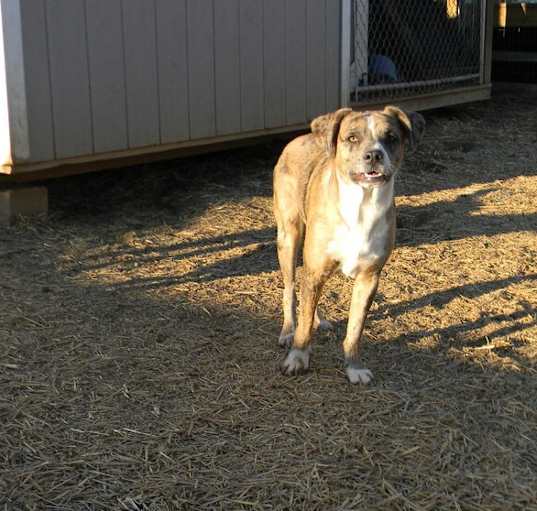 Photo of Sherman