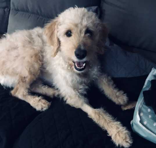 Photo of Gabby