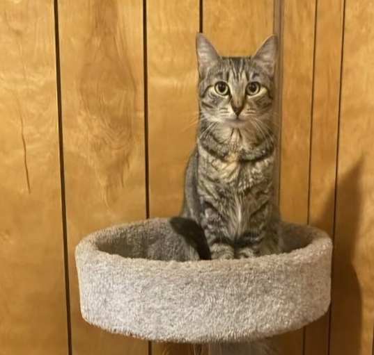 Photo of Smokey