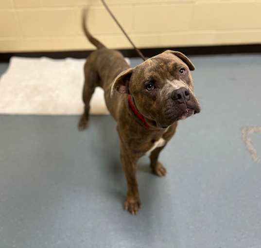 Photo of A408576