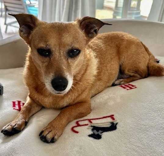 Photo of Maggie  -  So Ca