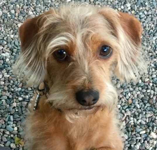 Photo of Coco  -  So Ca