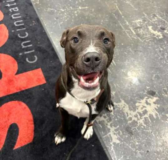 Photo of Thor