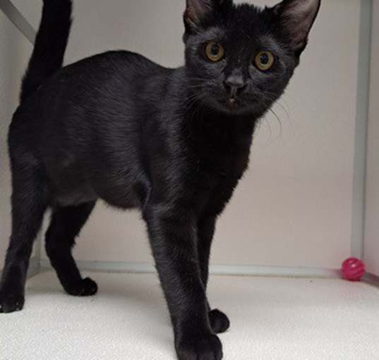 Photo of Freya