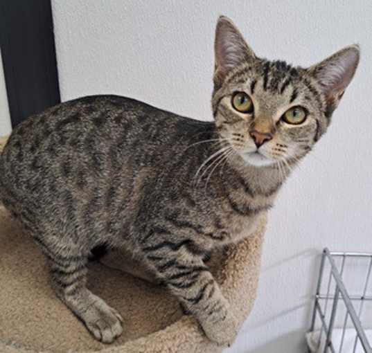 Photo of Hazel