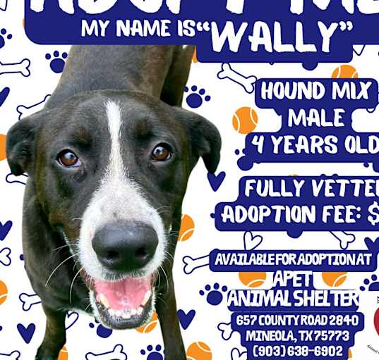 Photo of Wally