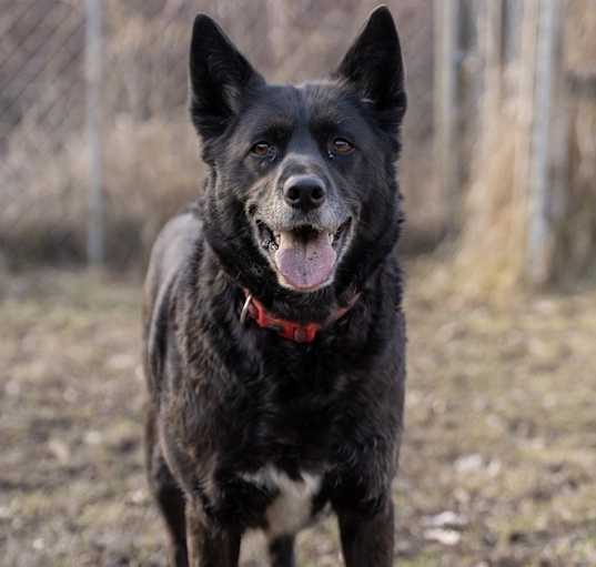 Photo of Sophie