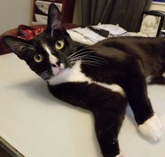 Photo of Office Assistance for hire Prince