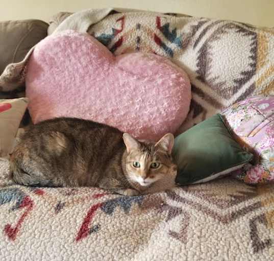 Photo of Loving Lexi