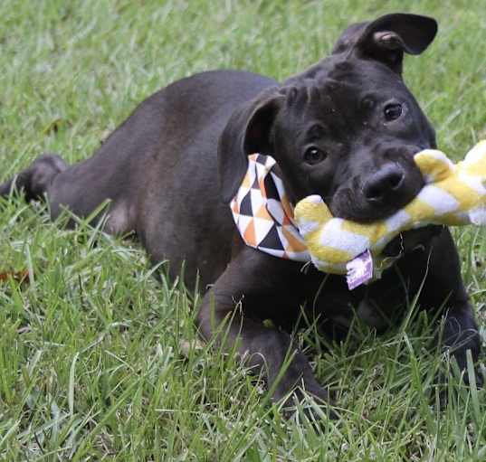 Photo of LUNA