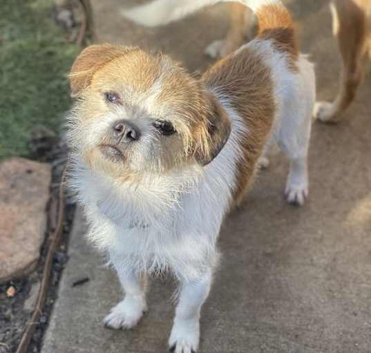 Photo of Mooshu