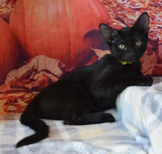 Photo of Matilda