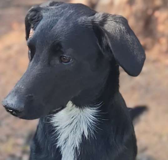 Photo of Coco