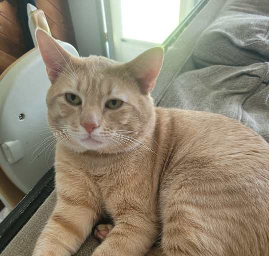 Photo of Juice
