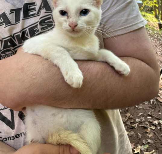 Photo of Snowy