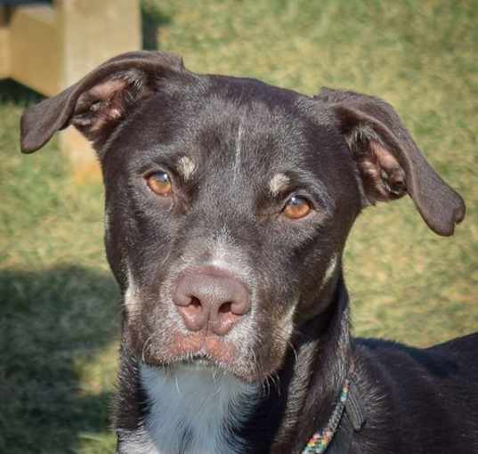 Photo of Wesley