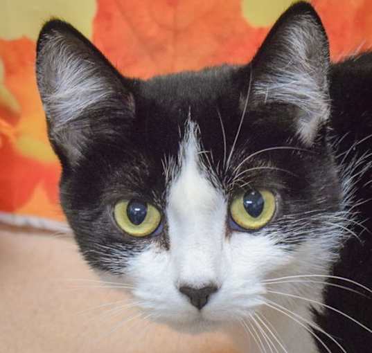 Photo of Prada