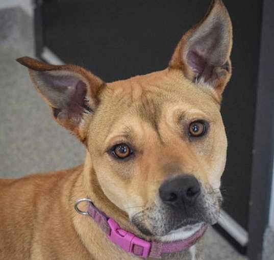 Photo of Bonnie