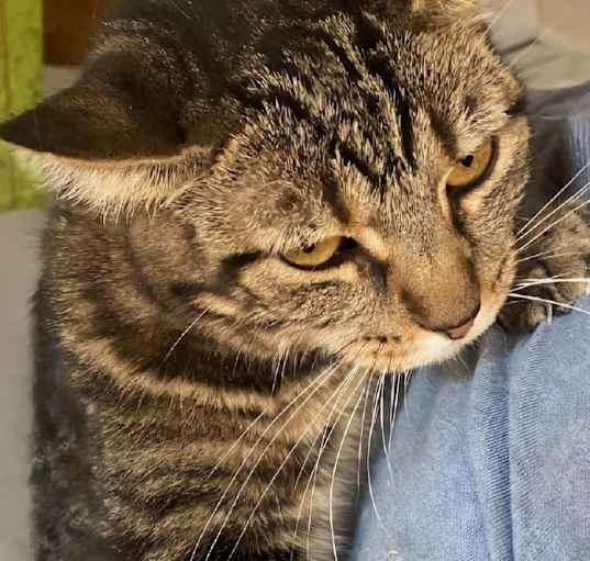 Photo of LULU