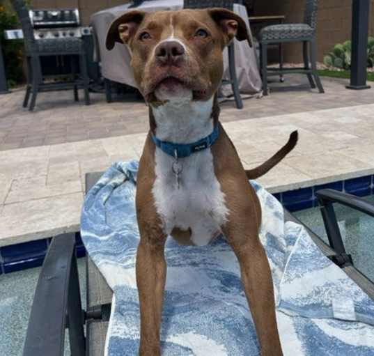 Photo of MILLIE