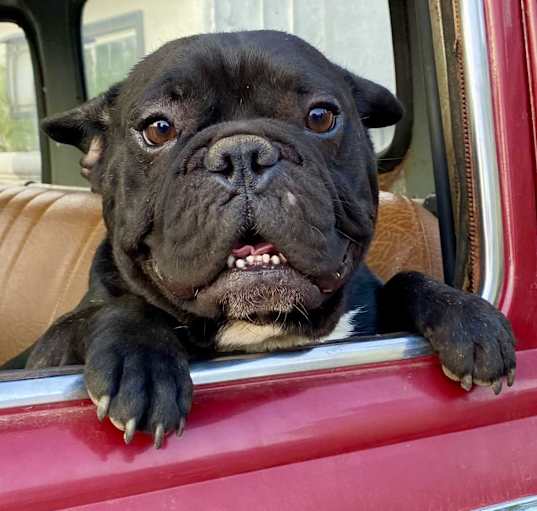 Photo of Timmy