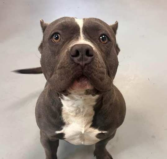 Photo of Captain