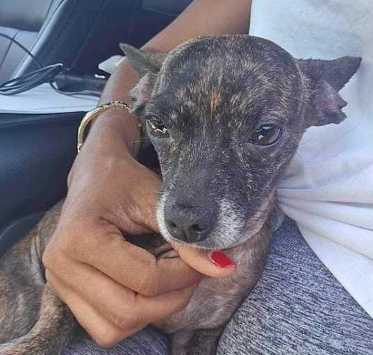 Photo of Mable (TX)