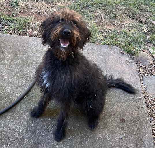Photo of Murphy