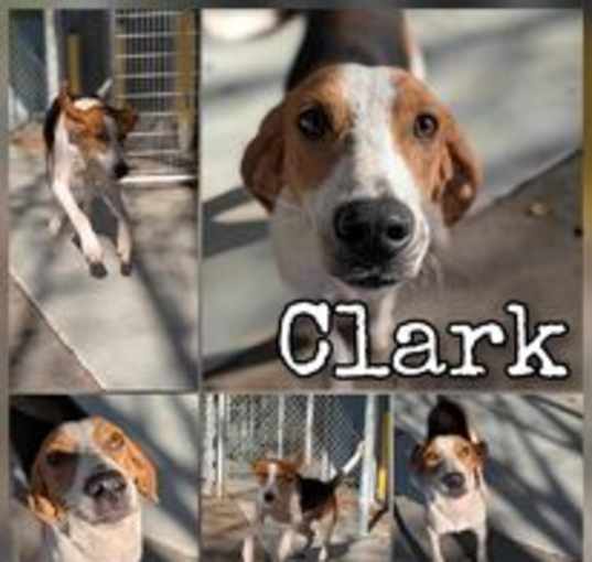 Photo of Clark