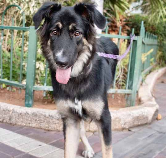 Photo of Coco IN LA!!