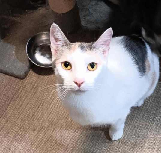Photo of Layna