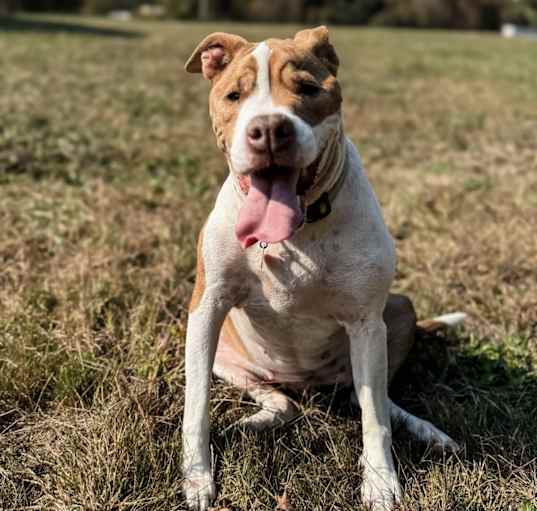 Photo of NELLIE!
