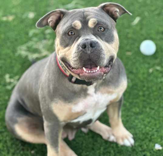 Photo of Kali