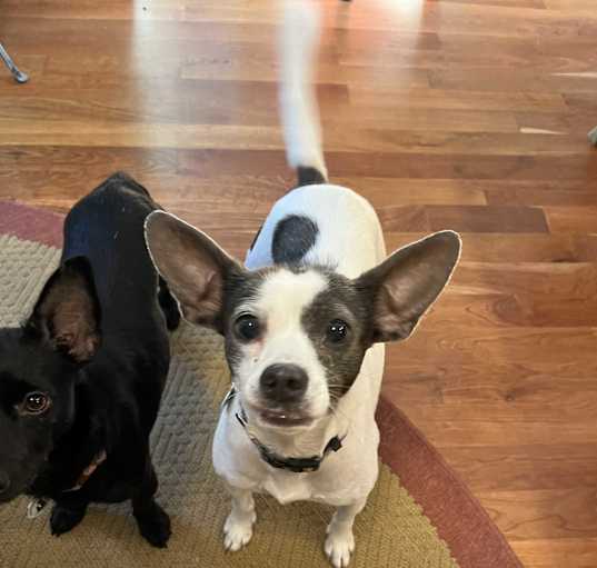 Photo of Candy