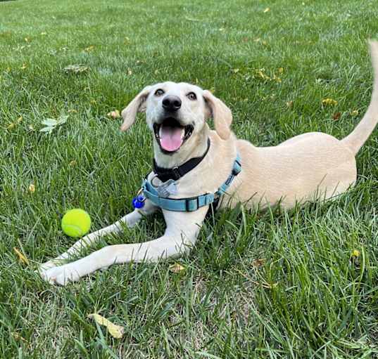 Photo of Dorothy loves playtime