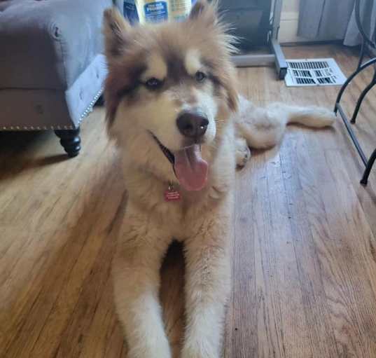 Photo of Thor
