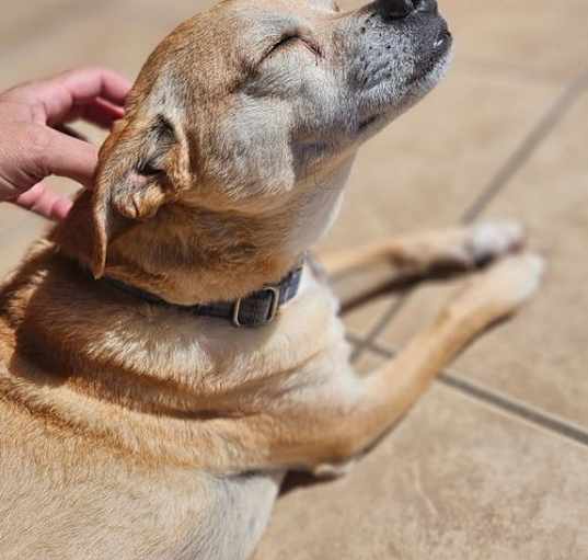 Photo of Lucky Brewster