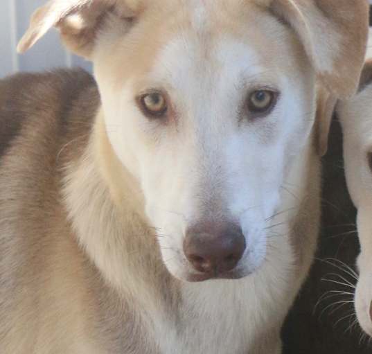 Photo of Mocha 24