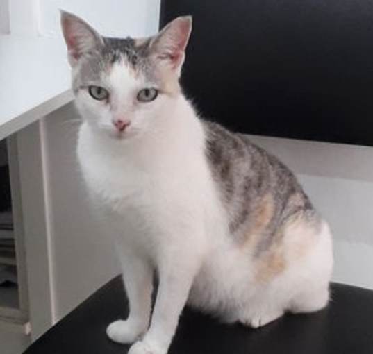 Photo of Matilde