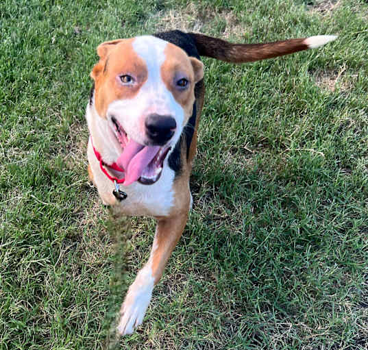 Photo of Molly
