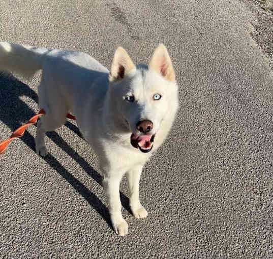 Photo of Ky