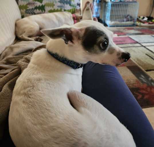 Photo of Squirt