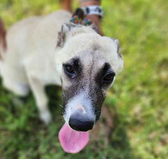 Photo of Libby
