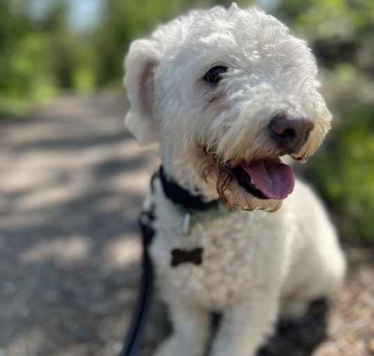 Photo of Walter